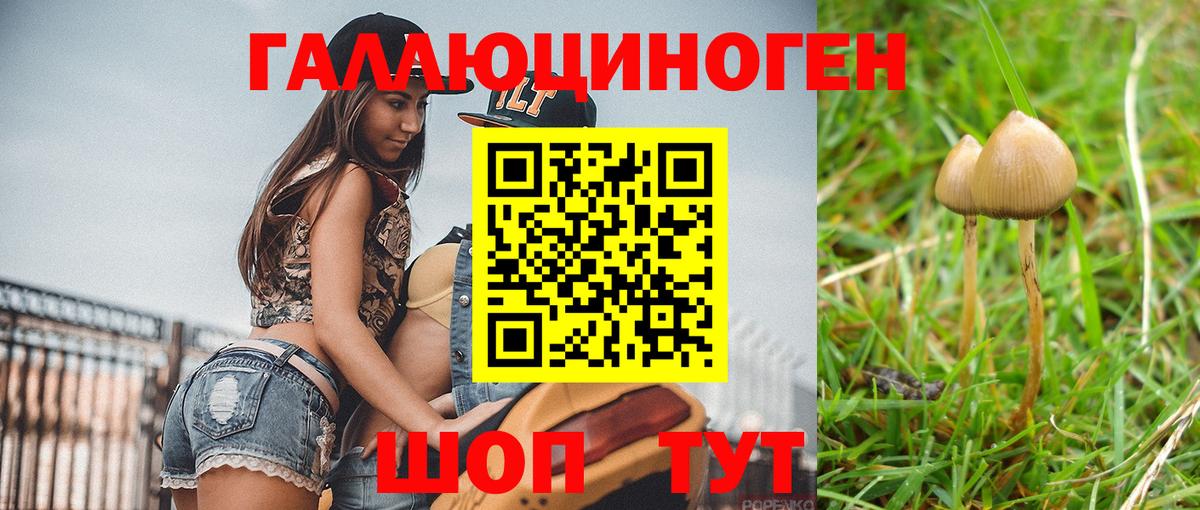 Галлюциногенные грибы прущие грибы  хочу наркоту  Дальнереченск  Вход с VPN  Галлюциногенные грибы GOLDEN TEACHER 