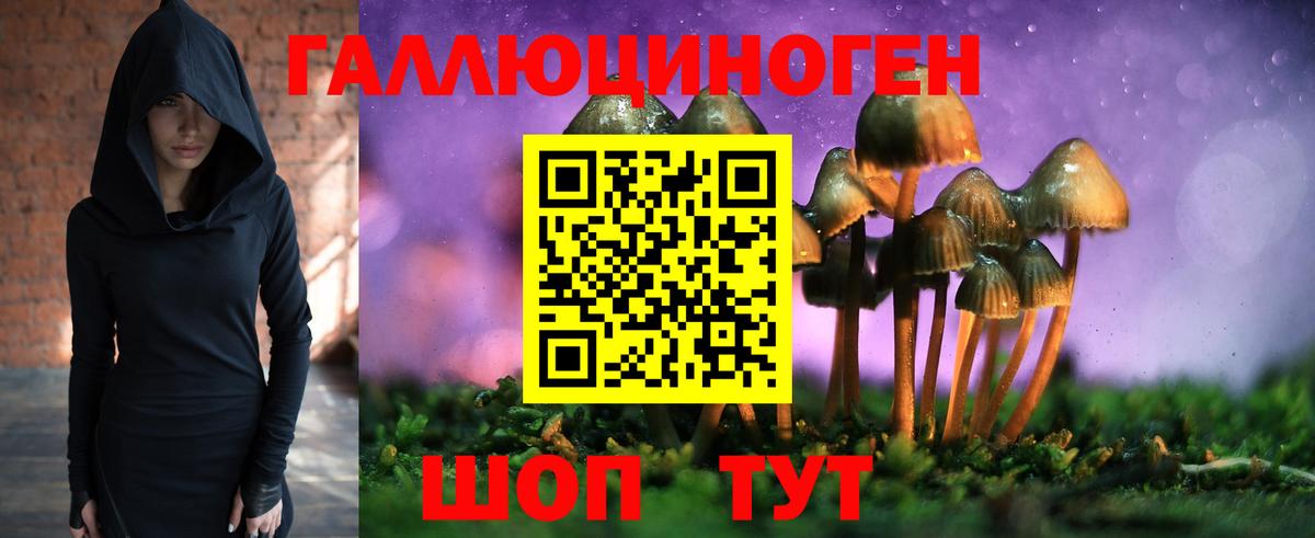 Псилоцибиновые грибы мицелий Дальнереченск